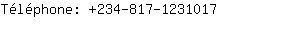 Tlphone: 234-817-123....