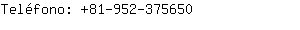 Teléfono: 81-952-37....
