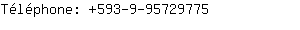 Tlphone: 593-9-9572....