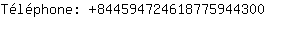 Tlphone: 84459472461877594....