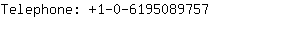 Telephone: 1-0-619508....