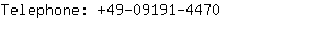 Telephone: 49-09191-....