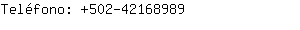 Teléfono: 502-4216....