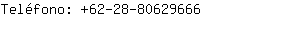 Teléfono: 62-28-8062....