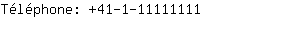 Tlphone: 41-1-1111....