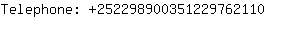 Telephone: 25229890035122976....