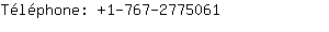 Tlphone: 1-767-277....