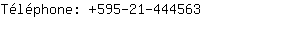 Tlphone: 595-21-44....