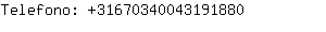 Telefono: 3167034004319....