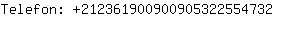 Telefon: 21236190090090532255....