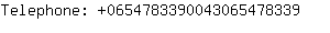 Telephone: 065478339004306547....