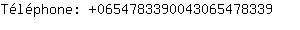 Tlphone: 065478339004306547....
