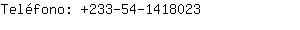 Telfono: 233-54-141....