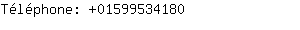 Téléphone: 0159953....