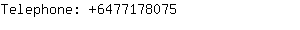 Telephone: 647717....