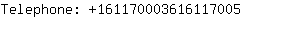 Telephone: 16117000361611....