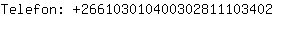 Telefon: 26610301040030281110....