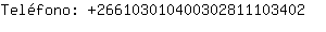 Telfono: 26610301040030281110....