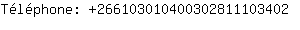 Tlphone: 26610301040030281110....