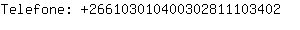 Telefone: 26610301040030281110....