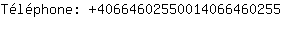 Tlphone: 4066460255001406646....