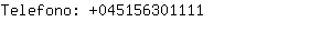 Telefono: 04515630....