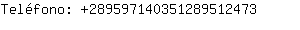 Telfono: 28959714035128951....