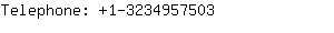 Telephone: 1-323495....