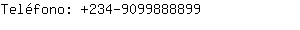 Teléfono: 234-909988....
