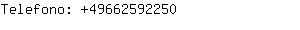 Telefono: 4966259....