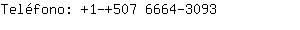 Teléfono: 1-+507 6664-....