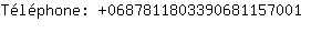 Tlphone: 068781180339068115....