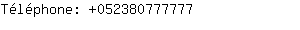 Tlphone: 05238077....