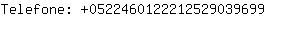 Telefone: 052246012221252903....