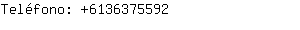 Teléfono: 613637....