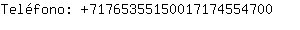 Telfono: 7176535515001717455....