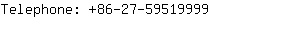 Telephone: 86-27-5951....