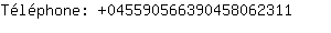 Tlphone: 04559056639045806....