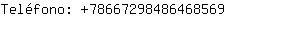 Teléfono: 7866729848646....