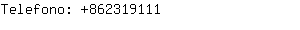 Telefono: 81-86-231-....