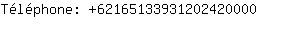 Tlphone: 6216513393120242....