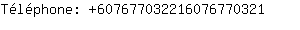 Tlphone: 60767703221607677....