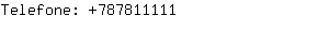Telefone: 78781....