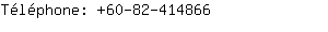 Tlphone: 60-82-41....