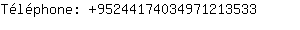 Tlphone: 9524417403497121....