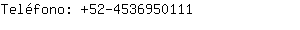 Teléfono: 52-453695....