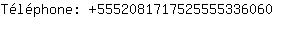 Tlphone: 555208171752555533....