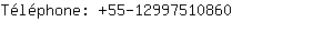 Téléphone: 55-1299751....