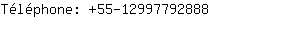 Téléphone: 55-1299779....