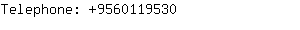 Telephone: 956011....